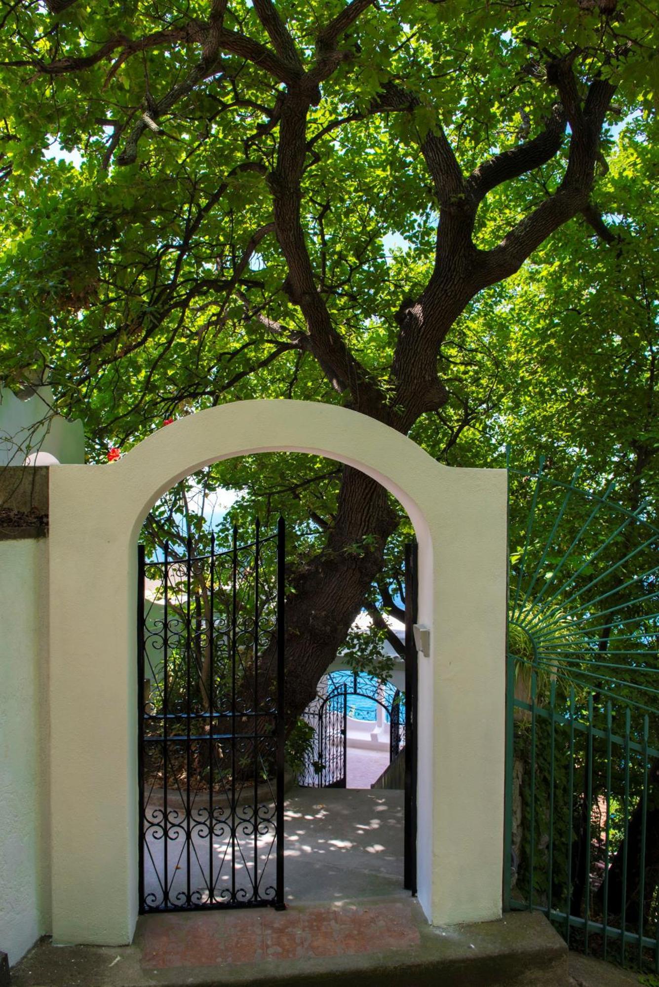 Amore Rentals - Villa Demetra Positano Exterior photo